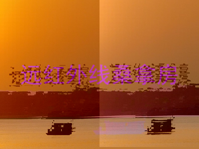 远红外线桑拿房