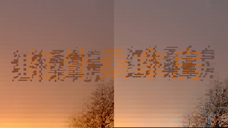 红外桑拿房