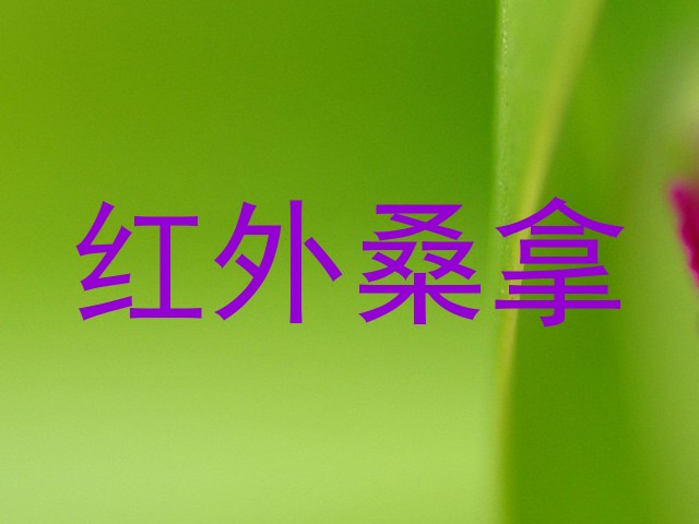 红外桑拿