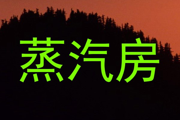 蒸汽房