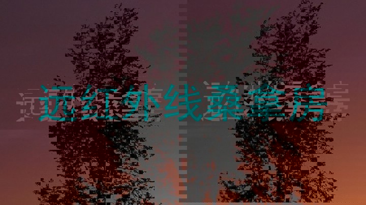 远红外线桑拿房