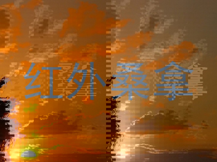 红外桑拿