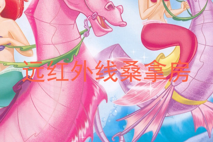远红外线桑拿房