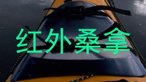 红外桑拿
