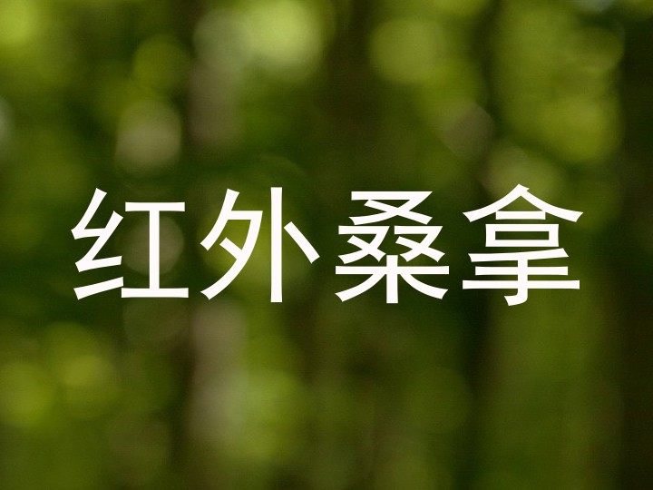 红外桑拿