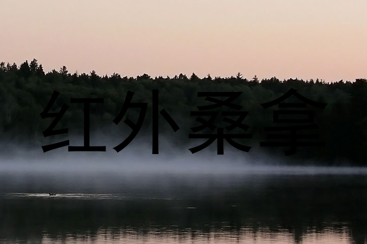 红外桑拿