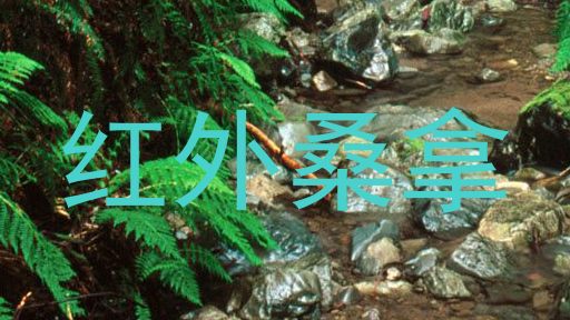 红外桑拿