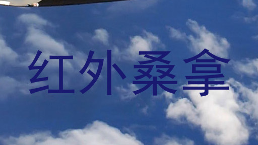 红外桑拿