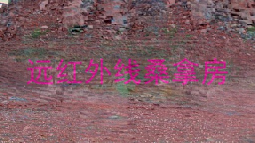 远红外线桑拿房