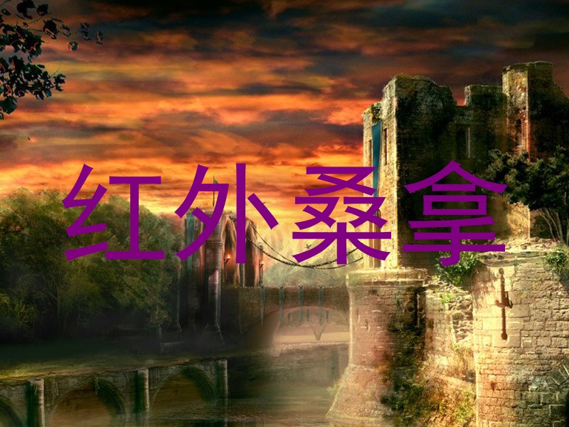 红外桑拿