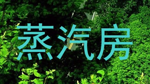 蒸汽房
