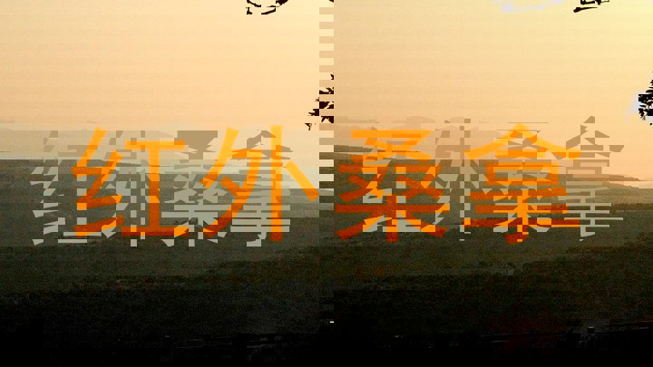 红外桑拿