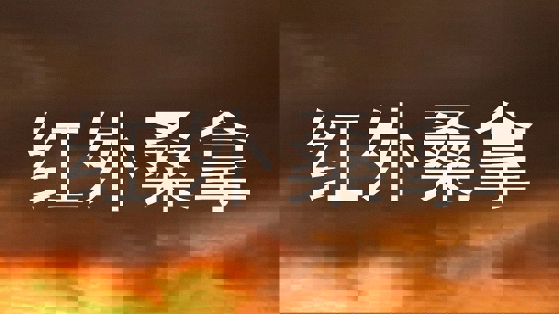 红外桑拿