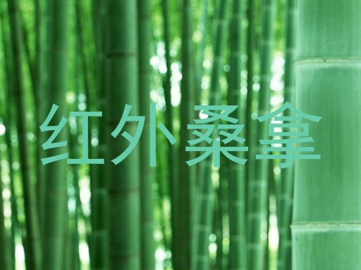 红外桑拿