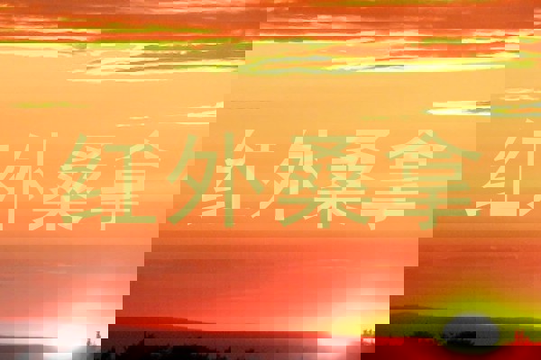 红外桑拿