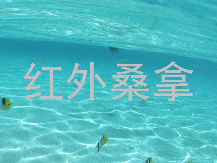 红外桑拿