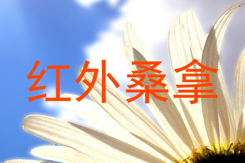 红外桑拿