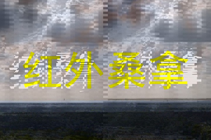 红外桑拿