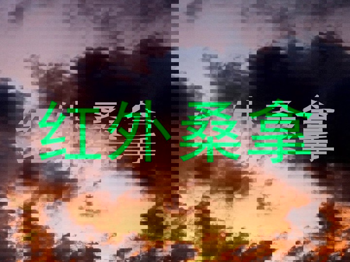 红外桑拿