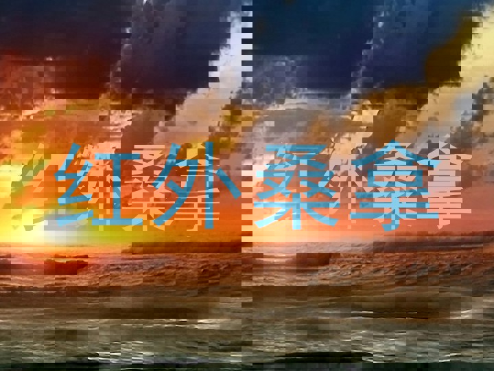 红外桑拿