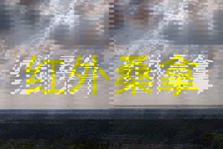 红外桑拿