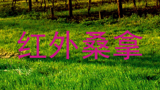 红外桑拿