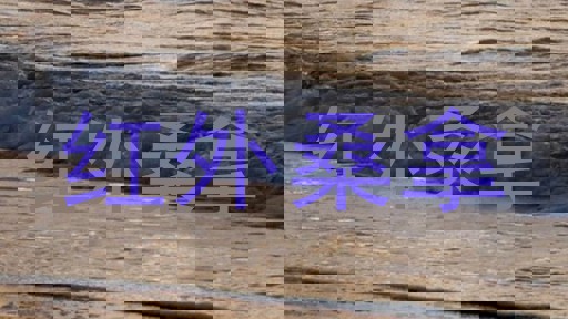 红外桑拿