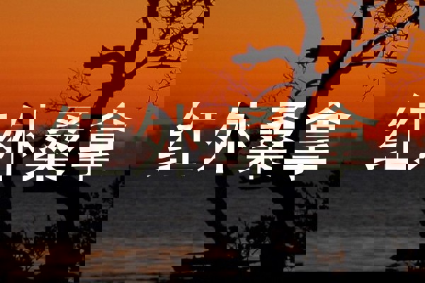 红外桑拿