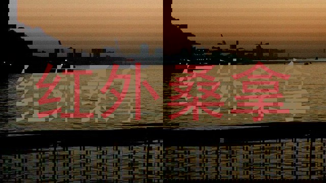 红外桑拿