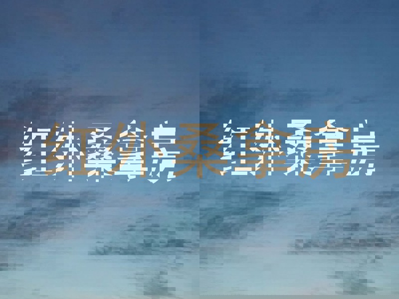红外桑拿房