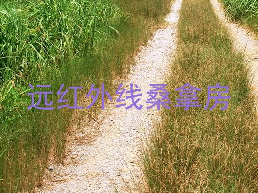远红外线桑拿房