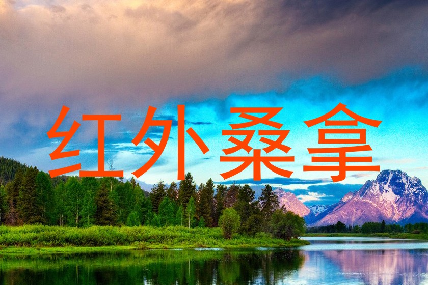 红外桑拿
