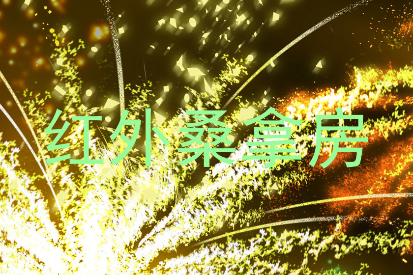 红外桑拿房