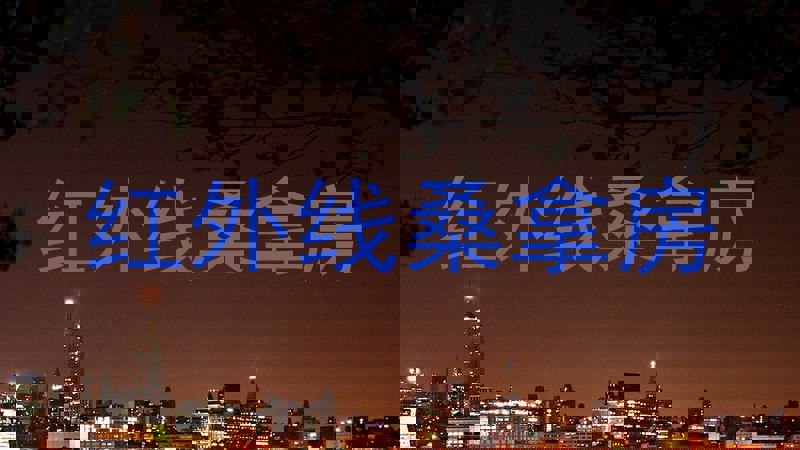 红外线桑拿房