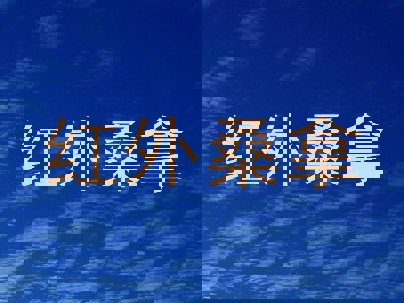 红外桑拿