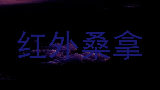 红外桑拿