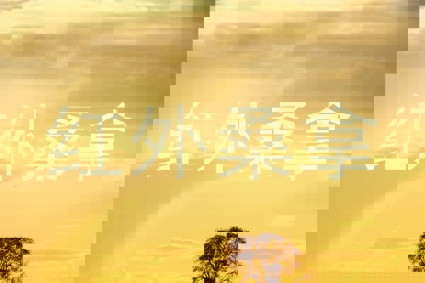 红外桑拿