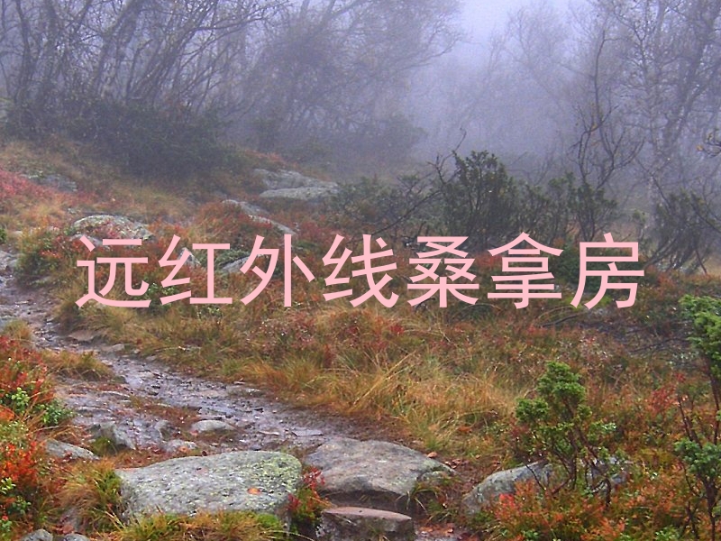 远红外线桑拿房