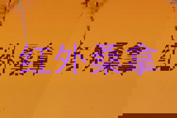红外桑拿