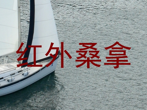 红外桑拿