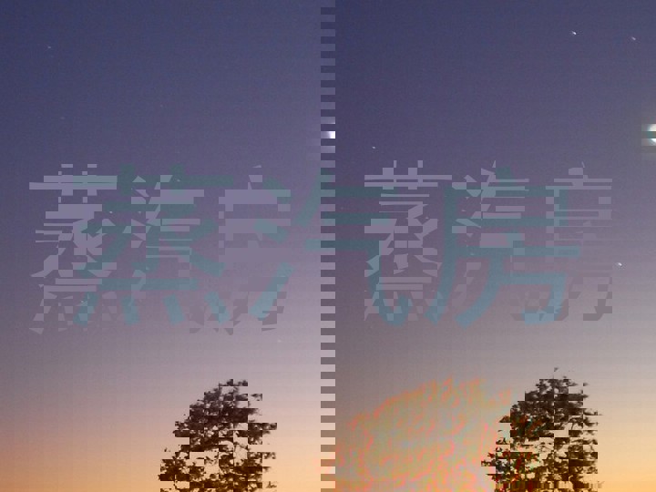 蒸汽房