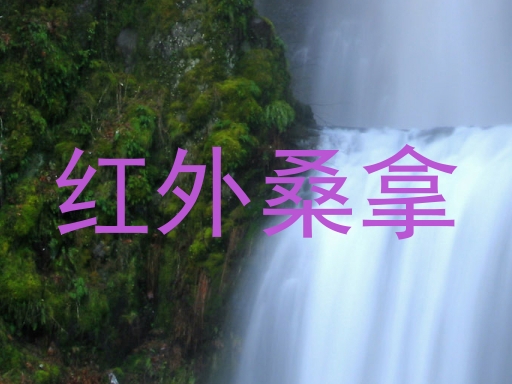 红外桑拿