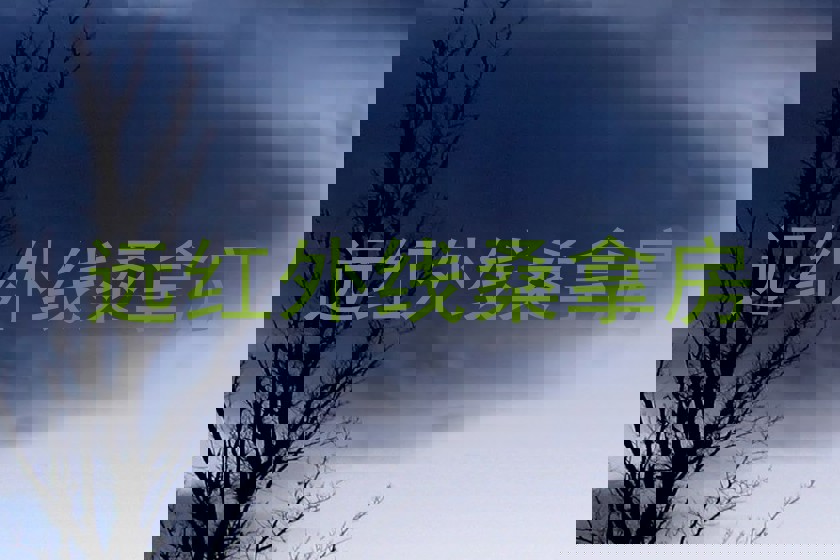 远红外线桑拿房