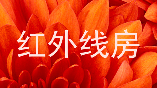 红外线房