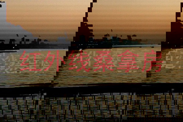 红外线桑拿房