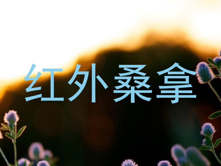 红外桑拿