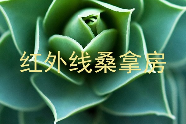 红外线桑拿房