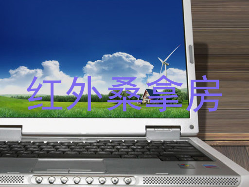 红外桑拿房