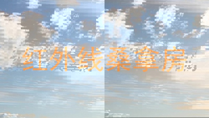 红外线桑拿房