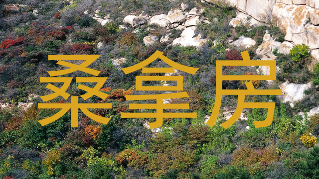 桑拿房